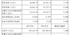 峨眉山A:2019年营收11.08亿 Q1预亏8800万元