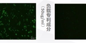 蓝光成肌肤隐形杀手，华妍光钥专利“抗蓝光”，为肌肤打造全方位保护伞！