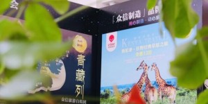 众信旅游2024半年度业绩亮眼，实现显著增长与创新升级